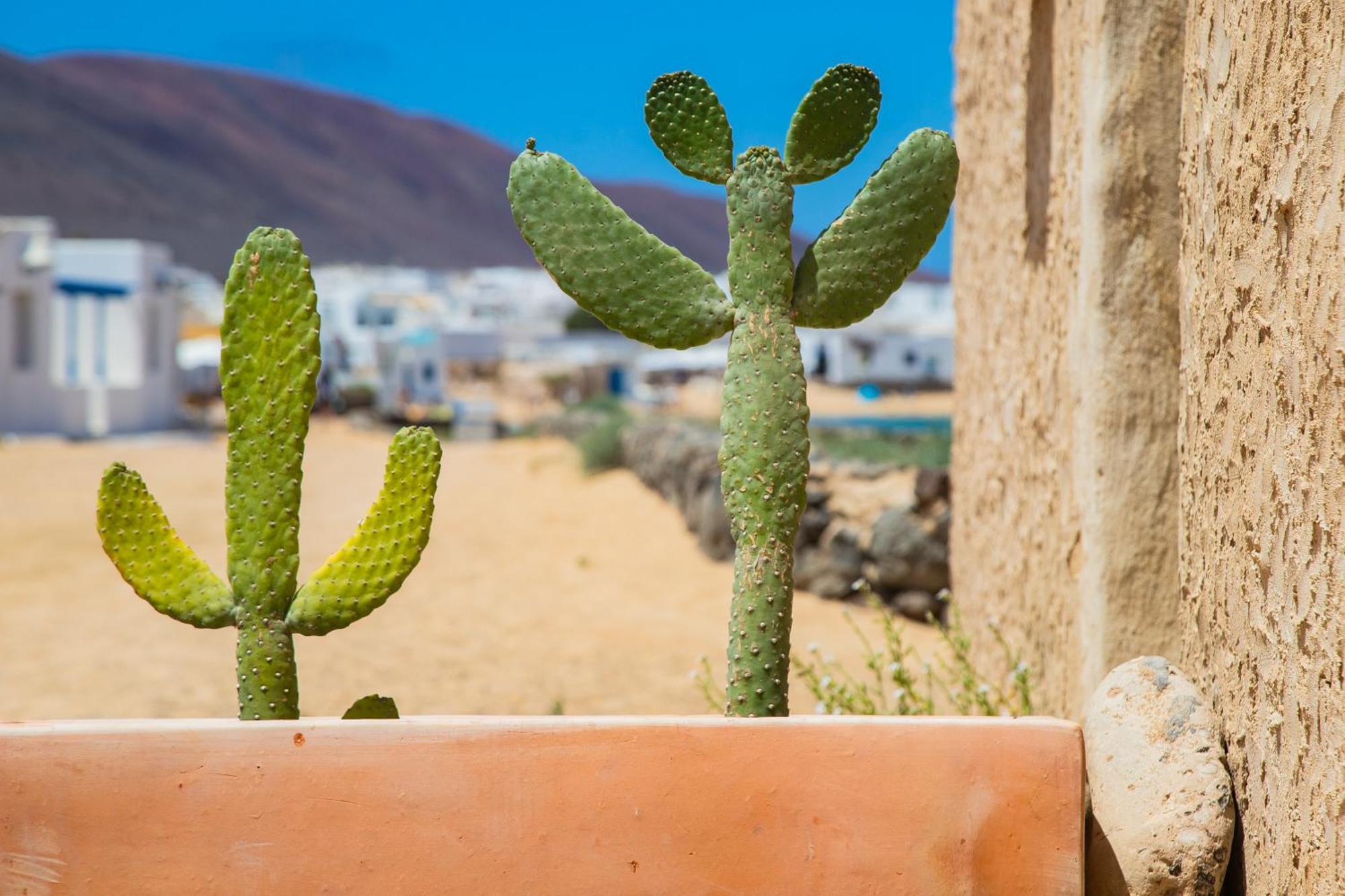 Eslanzarote La Duna House, wifi Villa Caleta de Sebo Exterior foto